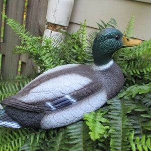 May include: A realistic-looking, grey and green duck decoy is nestled in a bed of green ferns. The duck has a green head and a yellow beak.