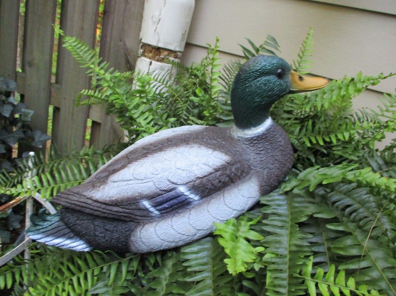 May include: A realistic-looking, grey and green duck decoy is nestled in a bed of green ferns. The duck has a green head and a yellow beak.
