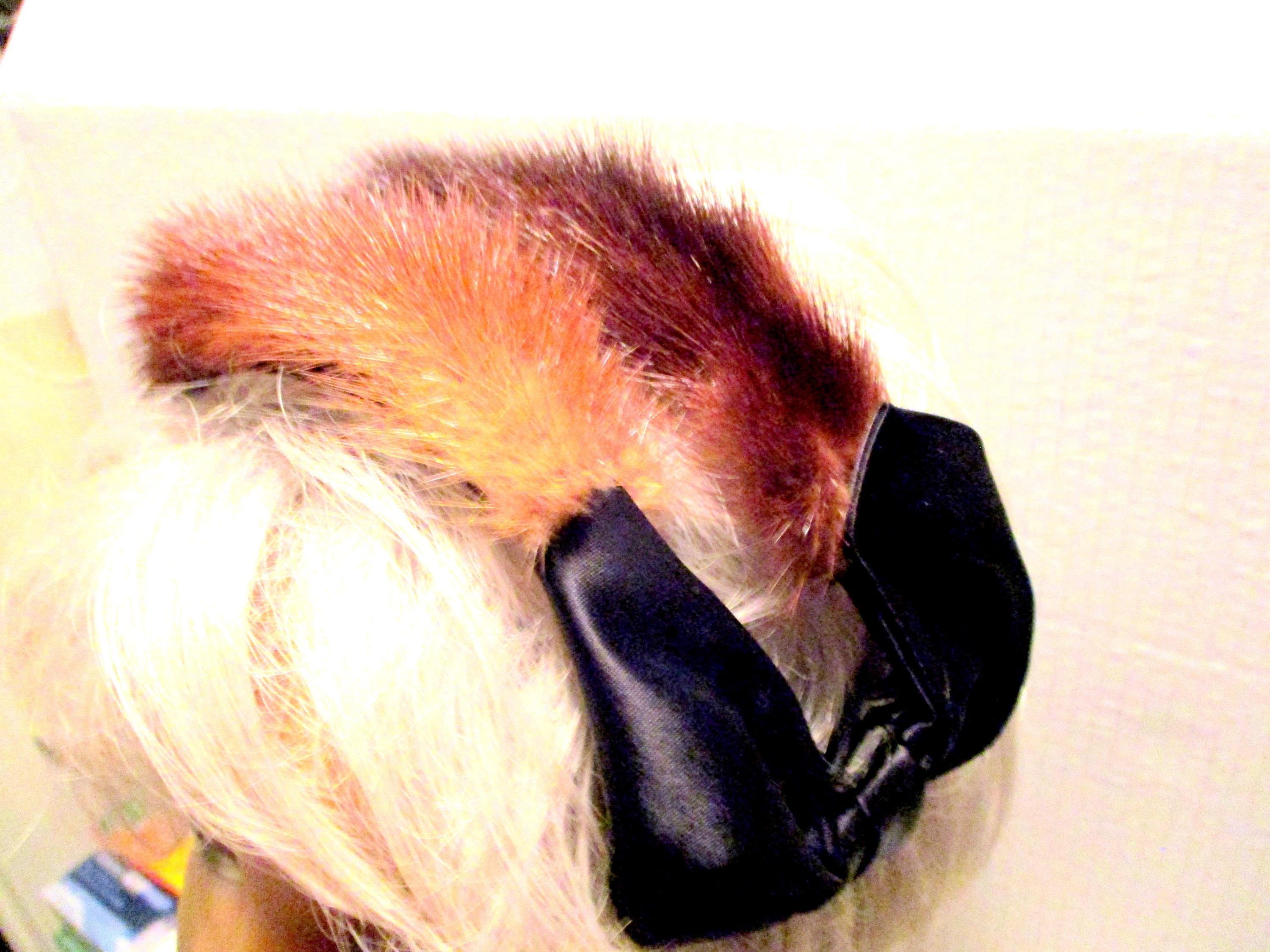Vintage Brown Genuine Mink Fur Lattice Crown Headband Black Satin Bow Accent Mink Fascinator Headband Black Satin Bow Vintage - Etsy main image 3