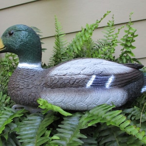 May include: A realistic-looking decoy mallard duck with a green head, brown and grey body, and white wing markings. The duck is positioned in a bed of green ferns.