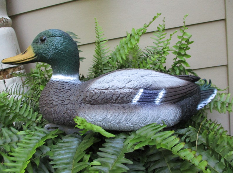 May include: A realistic-looking decoy mallard duck with a green head, brown and grey body, and white wing markings. The duck is positioned in a bed of green ferns.
