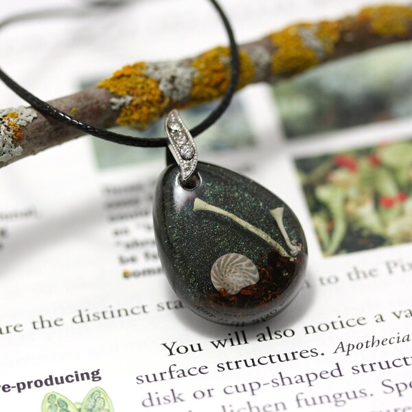 Real Lichen Specimen Resin Pendant, Pixie Cups Snail Necklace, Forest Forager Ranger Gift, Botanical Nature Cottagecore Woodland Jewelry