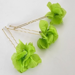 Lime Green Hydrangea Hairpin: Dried Flower Bridal Hair Accessory