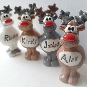 Name a reindeer Christmas tree decoration. Personalise a Christmas 2024 gift.