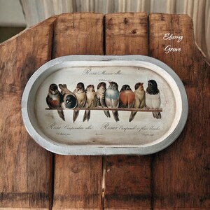 May include: An oval decorative tray with a light grey border. The tray features a vintage illustration of ten colourful birds perched on a branch. The text "Ebony Grove" is in the upper right corner.