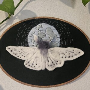 Pinned Moth