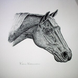 Portrait de cheval tourné vers la droite lithographie originale vintage Ken Nessen, un artiste occidental prêt à encadrer la photo, décoration d'intérieur