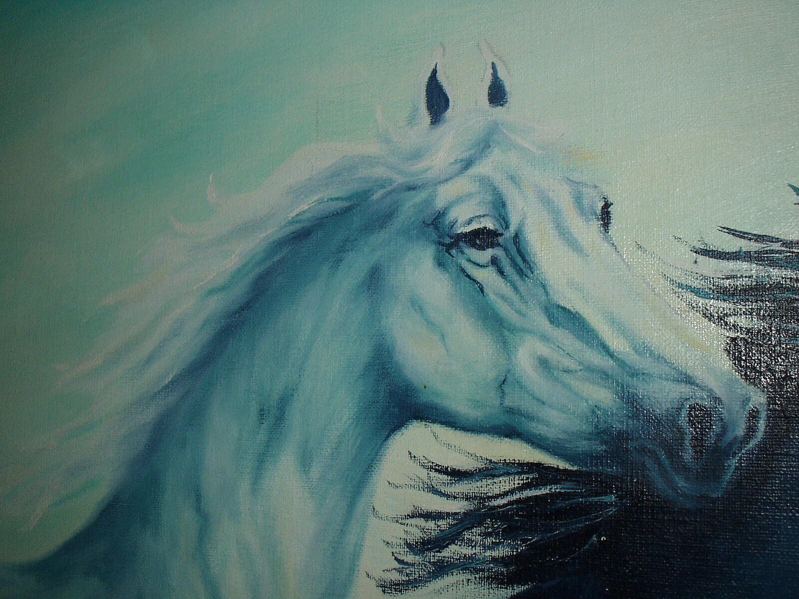 Wild Mustang Black and White Horses Running Original Oil Painting on ...
