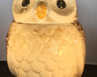 Vintage Brown Cookie Jar Barn Owl Made In USA Kitchen Ceramic Storage and Decor