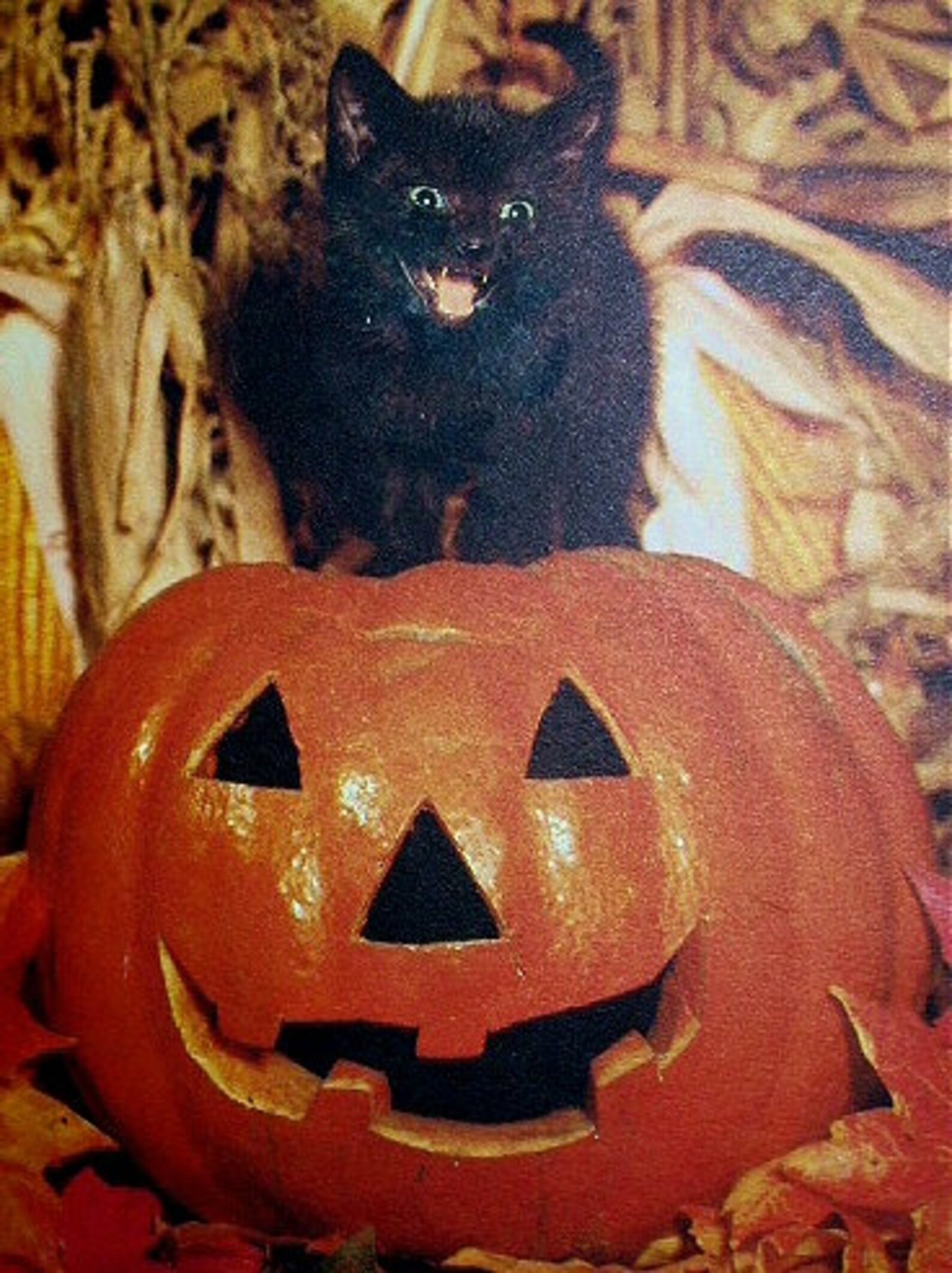 Herbst-Gartenflagge Mit Kürbis & Schwarzer Katze – 31,8 X 45,7 Cm, Jute, Wetterfest