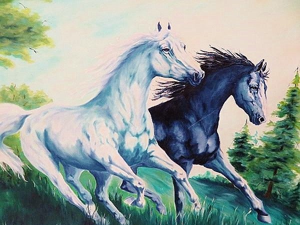 Wild Mustang Black and White Horses Running Original Oil Painting on ...