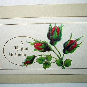 Red Rose Bud Flowers Postcard Unused Original 1900 Antique Card A Happy Birthday