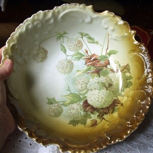 Snowball White Flowers Bavaria Antique Rosenthal Hand Painted Design Bowl Early 1900s Antique Decorative Nice Color Pattern Rare