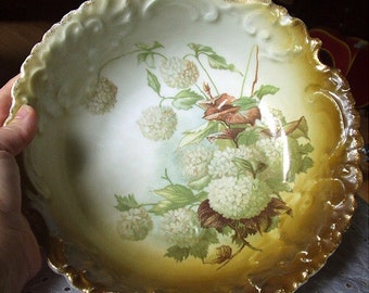 Snowball White Flowers Bavaria Antique Rosenthal Hand Painted Design Bowl Early 1900s Antique Decorative Nice Color Pattern Rare