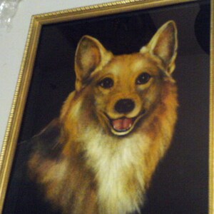 Puede incluir: Una pintura enmarcada de un perro marrón y blanco sobre un fondo negro. El perro está mirando directamente al espectador con la boca ligeramente abierta, mostrando sus dientes. El perro tiene una cola larga y esponjosa.