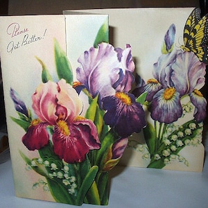 May include: A vintage pop-up greeting card featuring iris flowers in shades of purple, pink, and burgundy, with green leaves and white lily of the valley. A yellow and black butterfly is attached to the card. The text "Please Get Better!" is written on the card.