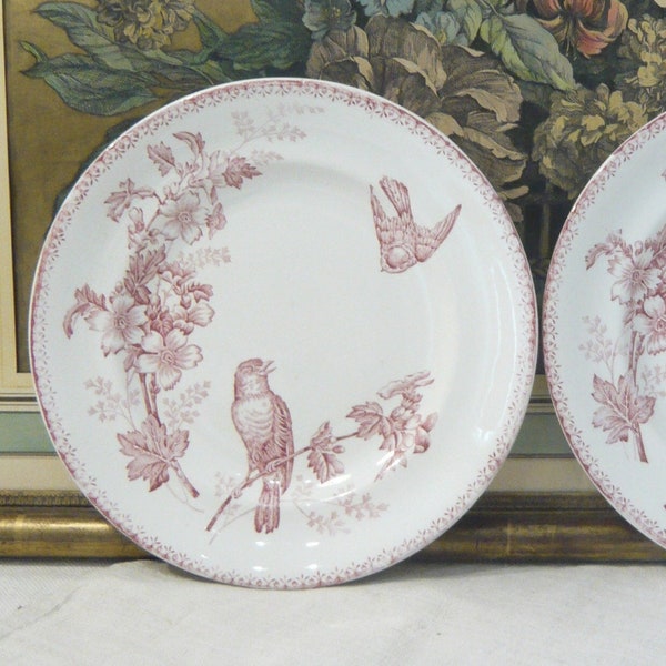 Pair of Bird Transferware Dinner Plates Set of 2 French antique Longwy dinner plates with dark pink birds decor Collectibles plates 19th