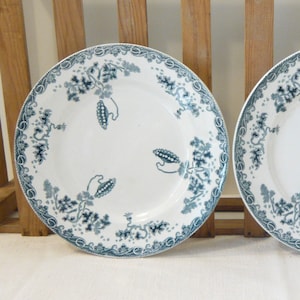 Set of 2 French antique Ironstone Plates Blue transferware dinner plates Modern Style Saint Amand & Hamage Antique dinnerware 19th century