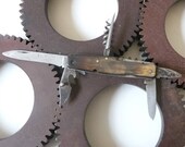 Antique multi tools pocket Knife with Horn Handle Folding Knives Collectibles Knives Free Shipping