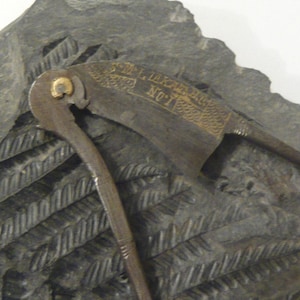 Betel nut cutter Metal Areca nut cutter Indian Rustic nut cutter Kitchen accessories Collectible utensils 1900-1920s