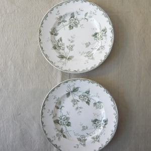 Set of 2 French antique Ironstone Plates Green transferware 2 dinner plates Rosette Saint Amand & Hamage Nouvelles Galeries Dinnerware 19th