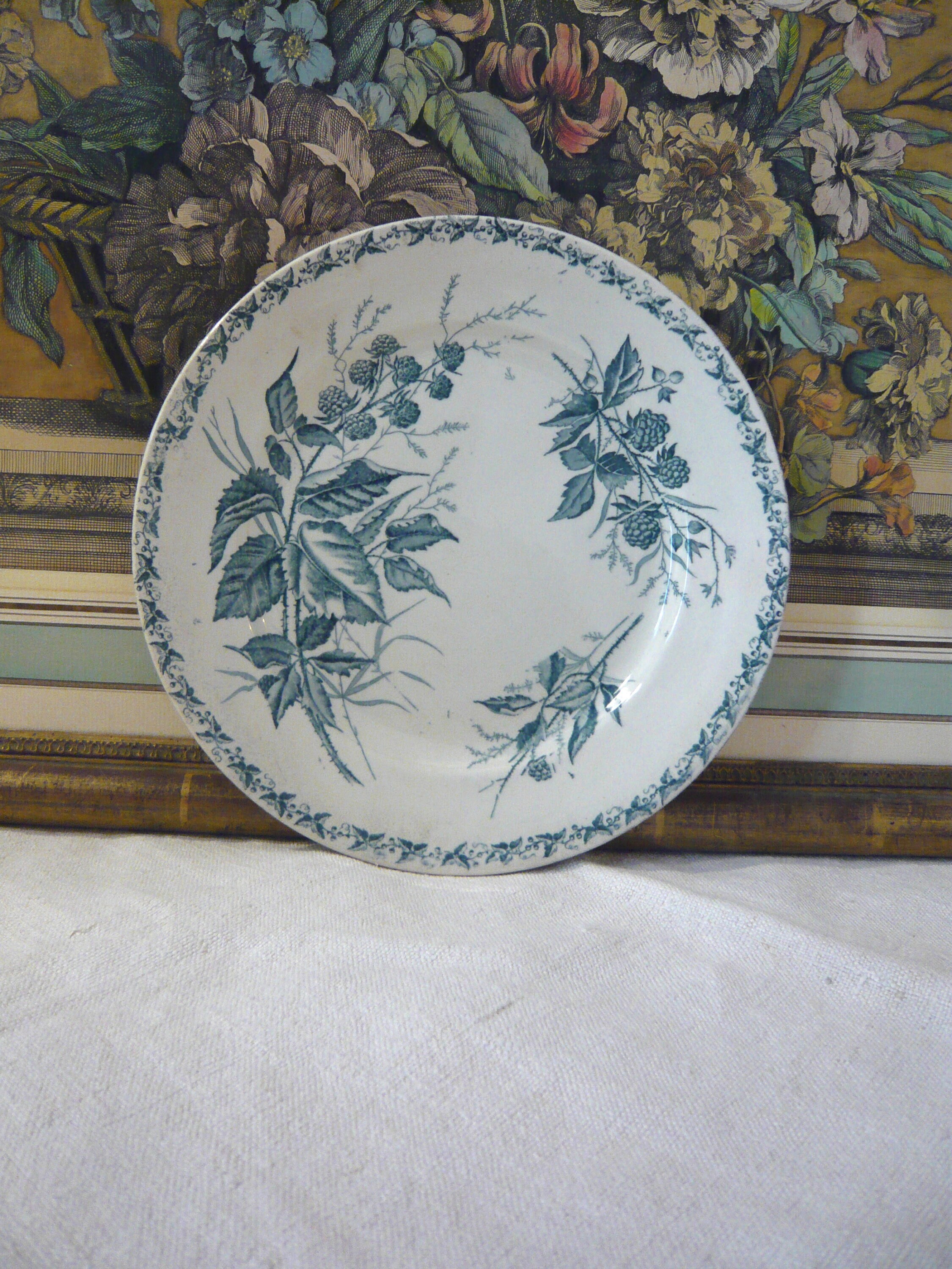 French Antique dinner plate TF Badonviller, Mure model