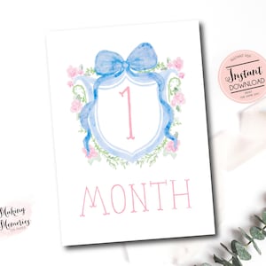 Cartes d'étape mensuelles pour fille, cartes d'étape mensuelles pour bébé fille Vichy aquarelle écusson, cartes d'étape importante du grand millénaire, téléchargement immédiat