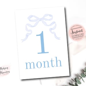 Monthly Milestone Cards, Baby Girl gingham Watercolor Crest Monthly Milestone Cards, Blue Bow Milestone Cards, preppy Instant Download