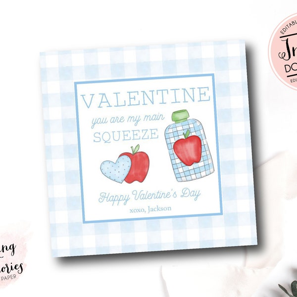Applesauce Valentine, Applesauce Valentine Card, Applesauce Pouch Tag, Preschool Valentine Cards, School Valentine Favor Tags, Gingham