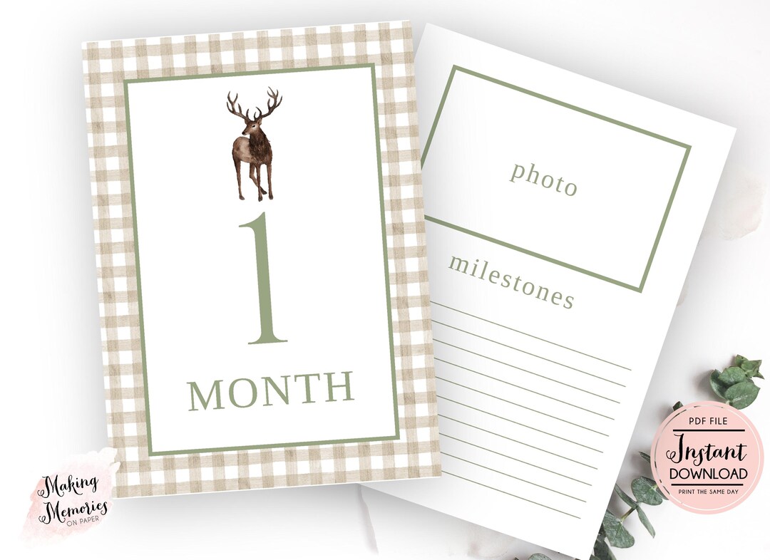 Deer Monthly Milestone Cards, Baby Boy Monthly Milestone Cards, Gingham ...