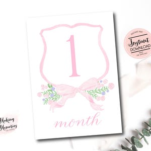 Cartes d'étape mensuelles pour fille, cartes d'étape mensuelles pour bébé fille Vichy aquarelle écusson, cartes d'étape importante du grand millénaire, téléchargement immédiat