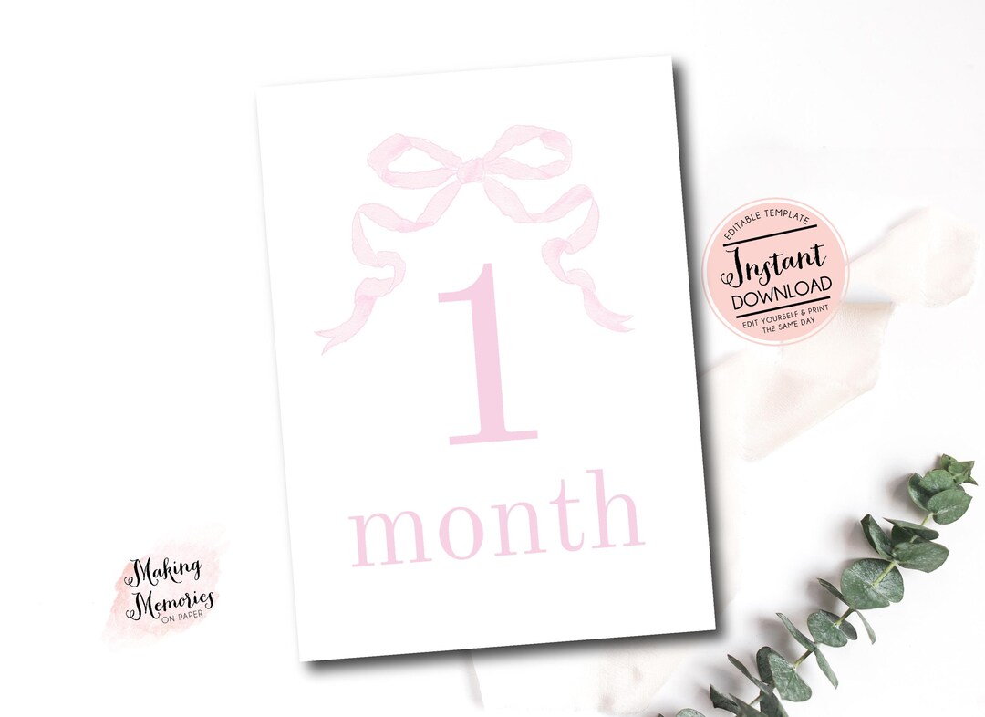 Girl Monthly Milestone Cards, Baby Girl Gingham Watercolor Crest ...