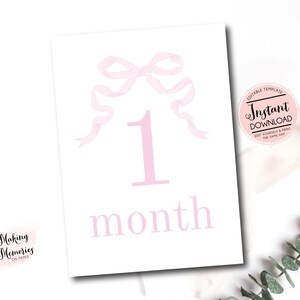 Girl Monthly Milestone Cards, Baby Girl gingham Watercolor Crest Monthly Milestone Cards, Pink Bow Milestone Cards, preppy Instant Download