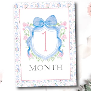 Girl Monthly Milestone Cards, Baby Girl Watercolor Crest Monthly Milestone Cards, Grandmillennial Milestone Cards, Preppy, Instant Download