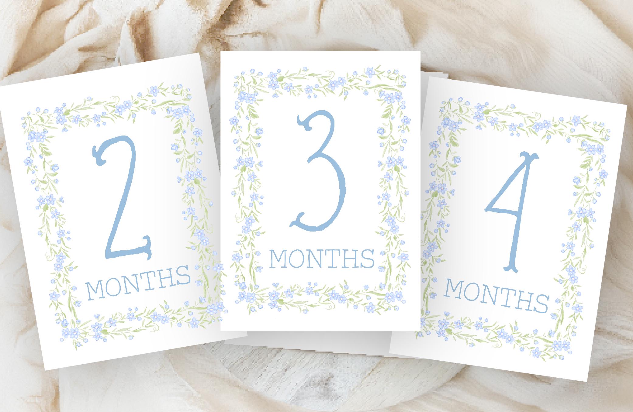 Blue Monthly Milestone Cards, Baby Boy Monthly Milestone Cards ...