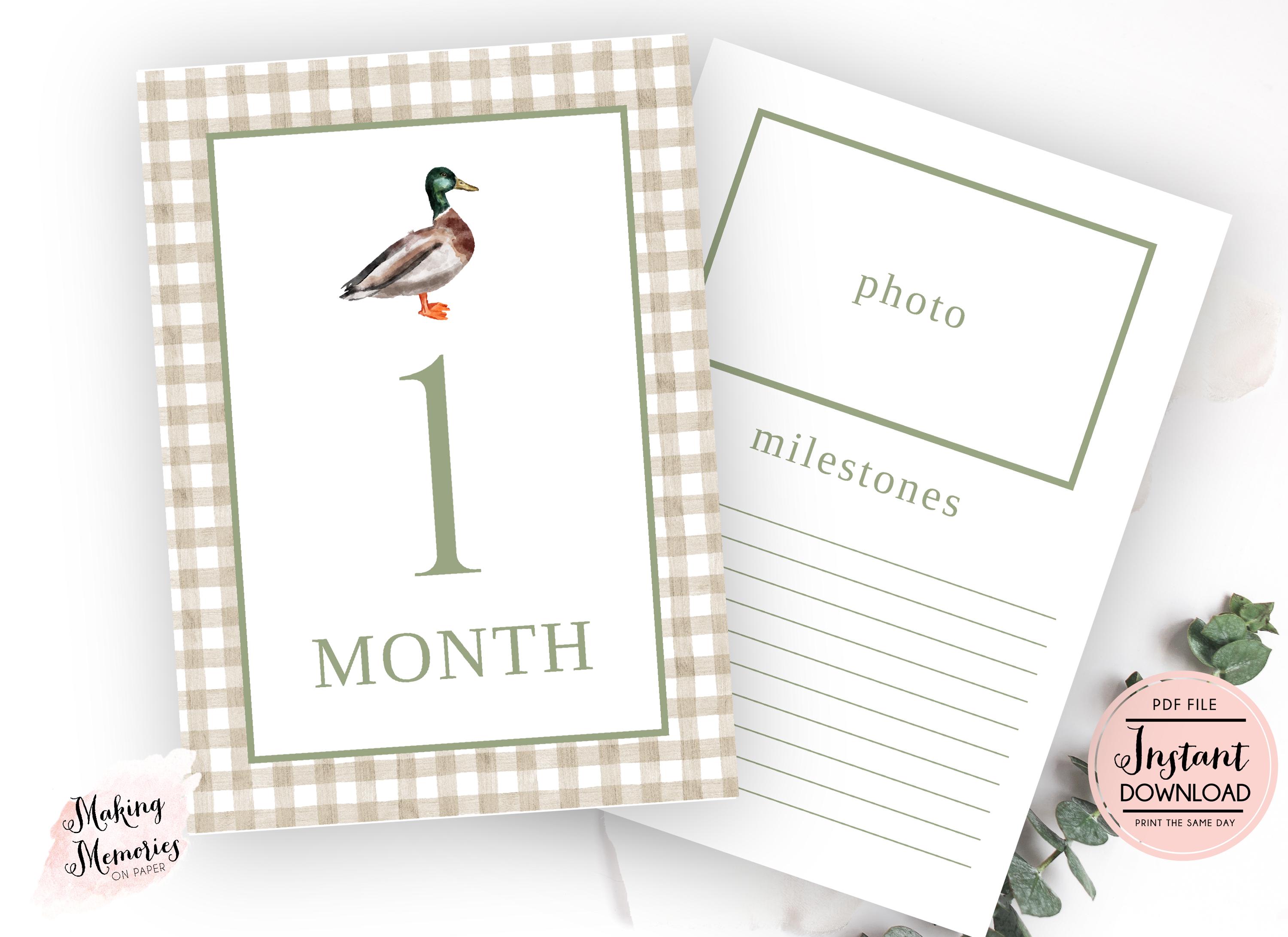 Duck Monthly Milestone Cards, Baby boy Monthly Milestone Cards, Gingham Milestone Card, preppy Instant Download, Duck hunting milestone