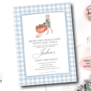 Snips and Snails Invitation, Blue Gingham Invitation, Puppy first Birthday Invite, Boy Puppy Invitation 1st Birthday, Preppy Puppy birthday