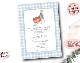 Snips and Snails Invitation, Blue Gingham Invitation, Puppy first Birthday Invite, Boy Puppy Invitation 1st Birthday, Preppy Puppy birthday