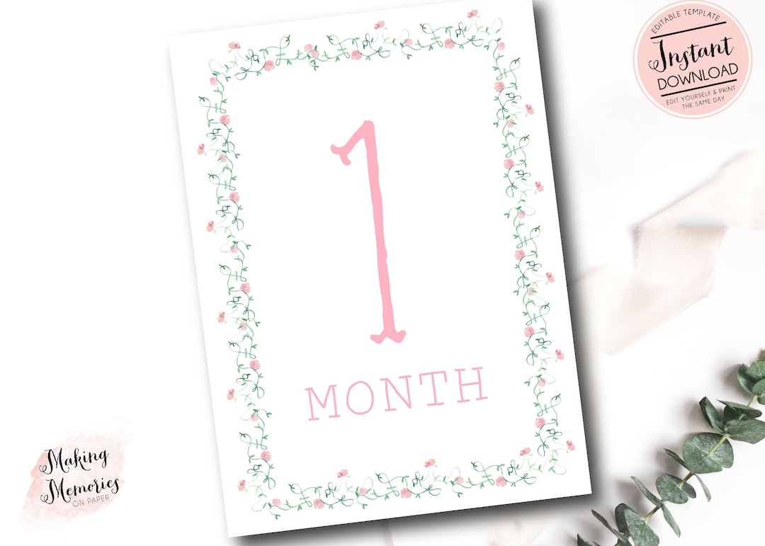 Girl Monthly Milestone Cards, Baby Girl Watercolor Floral Monthly ...