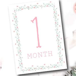 Girl Monthly Milestone Cards, Baby Girl Watercolor Floral Monthly Milestone Cards, Grandmillennial Milestone Cards, Preppy, Instant Download
