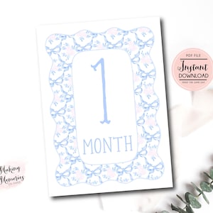 Tarjetas mensuales de hitos para niña, tarjetas mensuales de hitos con acuarela de cuadros vichy para niña, tarjetas de hitos en azul sureño, descarga instantánea preppy