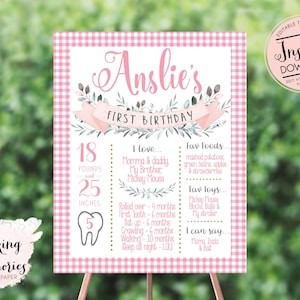 Pink Gingham Birthday Chalkboard Poster, About me Poster, Memory Board, Milestone Poster, Chalkboard, Pink about me poster, memory poster