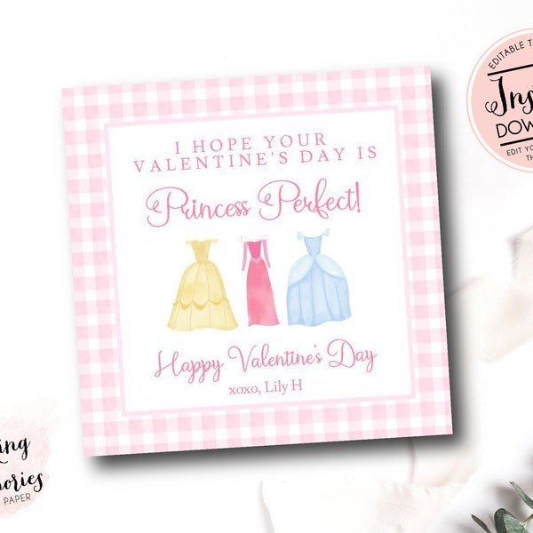 Princess Valentine Card, Printable Princess Valentines day Tag, Princess Valentine Card, Preschool Valentine, School Valentine, Gingham