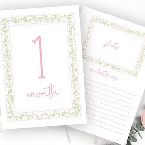 Tarjetas mensuales de hitos con lazo, tarjetas digitales de hitos para niña, tarjeta de hitos con lazo sureño, descarga instantánea preppy, bebé rosa y azul