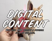 DIY Taxidermy E-Book A Digital Instructional Guide to Small Mammal (Squirrel, Mouse, Rabbit, Rat, etc) Shoulder Bust Mount Taxidermy