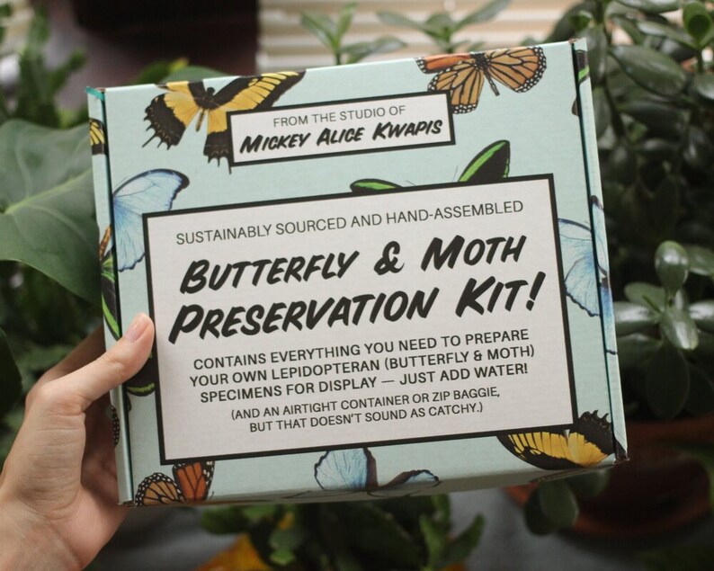 NEW DIY Entomology Kit Butterfly & Moth Spreading and Etsy