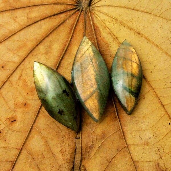 3pcs Labradorite Cabochon ,Gold Green Flash, Marquise ,Semiprecious Jewelry , Q-Stone,Small, 37x15x8mm