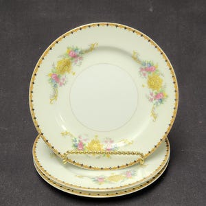 May include: A stack of three white porcelain plates with a gold rim and floral design. The plates have a gold and black star pattern around the edge and a floral design with pink, yellow, and blue flowers.