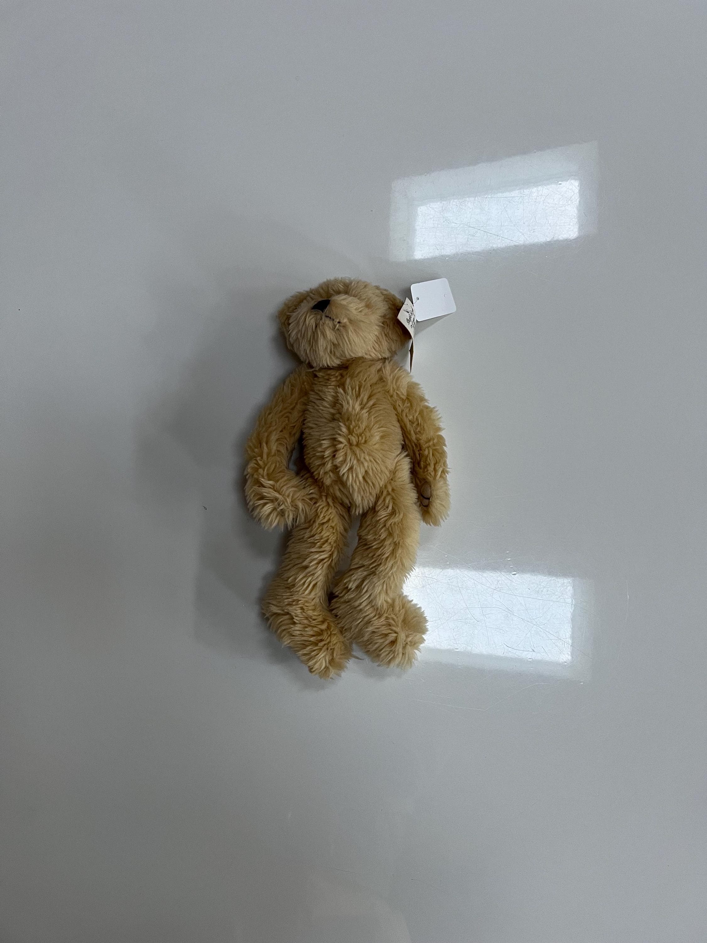 Steiff Blonde Teddy - Etsy
