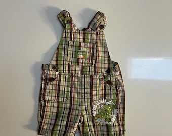 Vintage Grean Plaid Shortalls with Lizard Embroidery Have you Seen My Pet Lizard Crawly Lizard Pet Theme Overall Shorts Lightweight Tan